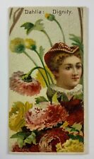 1892 N75 Duke Floral Beauties Dahlia Dignity NSB20 picture