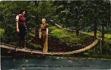 Vintage Postcard- Swinging Bridge. Early 1900s picture