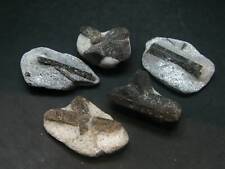 Fairy Cross Lot of 5 Dark Chocolate Staurolite Crystals from Russia picture