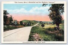 Greetings From Iron River Michigan Vintage Iron County MI c1915 Scenic Postcard picture