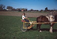 1964 Boy Child Riding Horse Driving Carriage Farm Vintage 35mm Slide picture