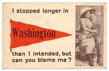 Vintage Washington IL Pennant Postcard c1913 Couple on Bench Divided Back picture