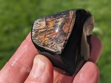 OddRox: Fire Obsidian Rubbed Rough. Two sides. Bright. UNFINISHED picture