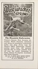 1948 Print Ad Weeki-Wachee Underwater Mermaids Gulf Coast Florida picture
