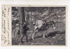 Antique Real Photo PC----1907~~ Byers Photo - Prospector and Mule Donkey , Colo  picture