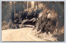 Postcard CA Mountain Road California Redwood Park RPPC Real Photo c1910s #1AE27 picture