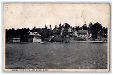 c1930's View Of Summer Homes On Lake Orion Michigan MI Posted Vintage Postcard picture