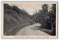 c1960s A Mile Of Roses Prospect Park Redlands California CA Unposted Postcard picture