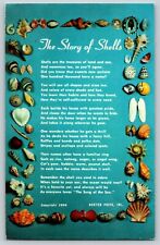  Vtg Chrome c.1956 The Story of Shells Postcard picture