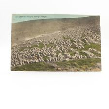 An Eastern Oregon Sheep Range Portland Oregon OR Vintage Unposted Postcard picture
