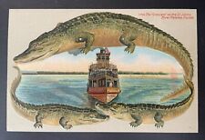 Clean Alligator Border Card S540 The Crescent St John's River Palatka picture