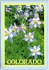 Postcard - Columbine, Colorado's State Flower picture