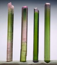 An Outstanding Bi And Tri Colour Terminated Tourmaline Crystals From Paprok Mine picture