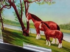 Vtg 1950’s Budweiser Beer Lighted Sign CELLULOID Insert--BUDWEISER CLYDESDALE picture