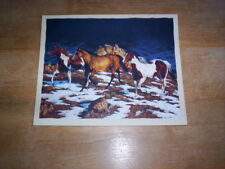 16 Wild Horse Horses  Blank Note Cards  APPROACHING STORM by Chris Cummings  NIB picture