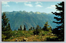 Seven Devils Idaho Scenic View Postcard picture
