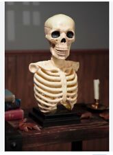 Skeleton Bust With Spooky Noises & Lights 17” Tall New Condition Good Details picture