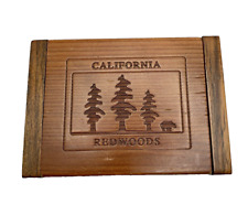 California Redwoods Trinket Box Tree Bear Jewelry Souvenir Keepsake Lodgecore picture