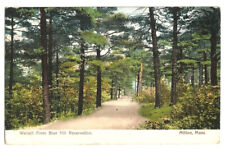 Milton MA Postcard Massachusetts Walcott Pines Blue Hill Reservation  c1905 picture