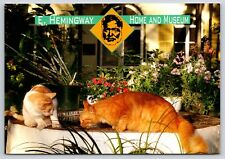 Ernest Hemingway Home & Museum Six Toe Cats Garden Key West FL Postcard UNP 6x4 picture