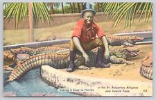 Postcard St. Augustine Alligator and Ostrich Farm, Florida 
