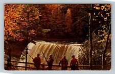 Paradise MI-Michigan, Upper Falls Tahquamenon River, Vintage Postcard picture