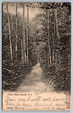 Shady Road Passaic New Jersey — Antique Postcard c. 1906 (Very Nice) picture
