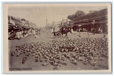 c1920's Market Street Scene Pigeons Jeypore India RPPC Unposted Postcard picture