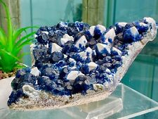 Fluorite-Indigo-Blue Fluorite-White Quartz-Huanggang Mine-Inner Mongolia-1.2kg picture