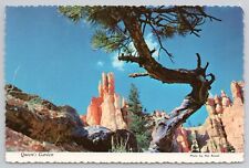 Postcard Bryce National Park Queen's Garden Southern Utah Unposted Continental picture