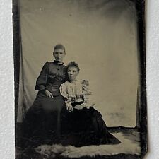 Antique Tintype Photograph Beautiful Young Women Affectionate Family Sisters picture