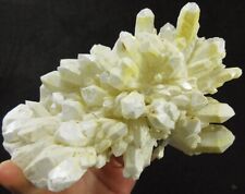 13.3cm 1.4LB rare flowery Citrine/yellow Quartz crystal specimen,China picture