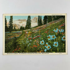 Postcard Washington Ranier National Park WA Anemone Wild Flowers Botany 1930s picture
