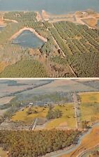 Eutawville SC Rocks Pond Campground NCHA Horse Cutting Marina Aerial Postcard picture