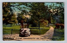 Champaign IL-Illinois, Campus Scene, University, Antique, Vintage Postcard picture