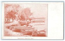 c1898 Boat Livery Exterior View Canoe Albert Lea Minnesota MN Vintage Postcard picture