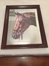 Rare Vintage Thoroughbred Mirror Picture With Frame Kentucky Derby 48”x36”x4” picture