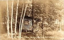 SCENE OF FOREST VIEW LODGE real photo postcard rppc WALKER MN 1931 picture