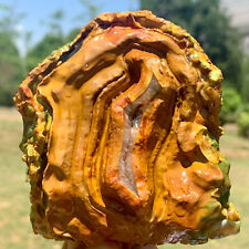 1.18LB Natural beautiful Warring States Red Agate rough Crystal Healing picture