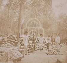 Early Albumen Photo of Watermelon Day. Rocky Ford, Colorado. C 1890's G.W. Swink picture
