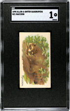 1890 N21 Allen & Ginter Raccoon 50 Quadrupeds SGC 1 picture