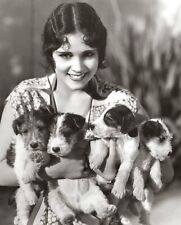 1920s Silent Film Star DOROTHY JANIS with Terrier Puppies Photo (220-M) picture
