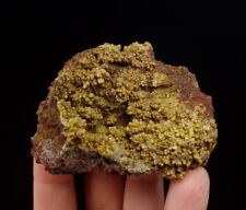 MIMETITE interesting yellow crystals  CONGO Bouenza Department - M`fouati /ph991 picture