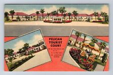 St Augustine FL-Florida, Pelican Tourist Court, Advertising, Vintage PC Postcard picture