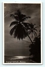 RPPC Tropical Solitude Panama Palm Trees over the Ocean Sunset Postcard D3 picture