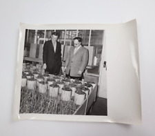 VTG Kraft Foods Stamped Real Photograph Dairy Farm DEPT. Indoor Growing picture
