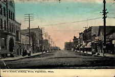 Pipestone Minnesota MN Street Scene c1910s Postcard picture