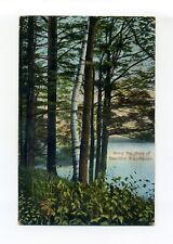 Sterling MA Mass 1908 postcard, Along the shore of beautiful Lake Waushacum picture