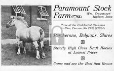 Hudson Iowa IA Paramount Stock Stallion Horse Farm Reprint Postcard picture