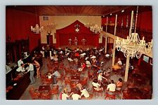Silver Springs FL-Florida, Palace Saloon Theater, Can-Can Girls Vintage Postcard picture